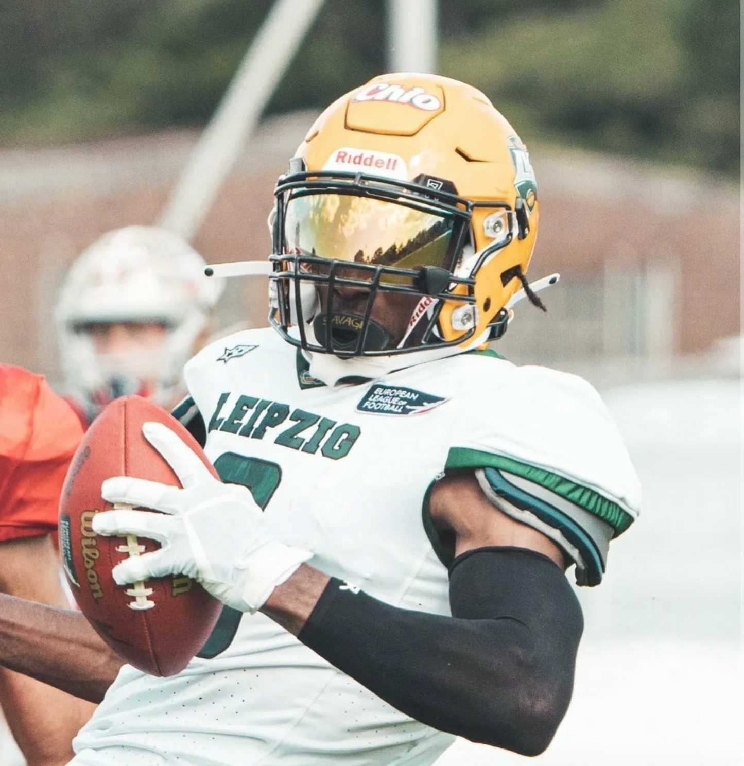 Reyrr Vison "GOLD RUSH"